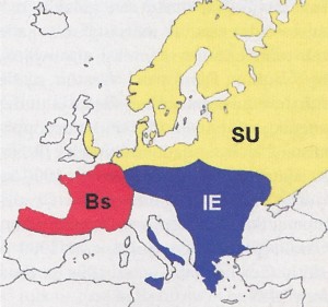 The language situation in Europe around 5500BC. IE = Indo-European languages, Bs = Basque languages, SU = Ugric languages