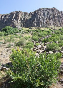 Typical Armenian terrain